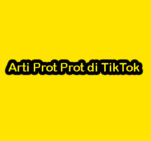Arti Prot Prot di TikTok