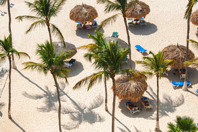 Sitting under the palm trees