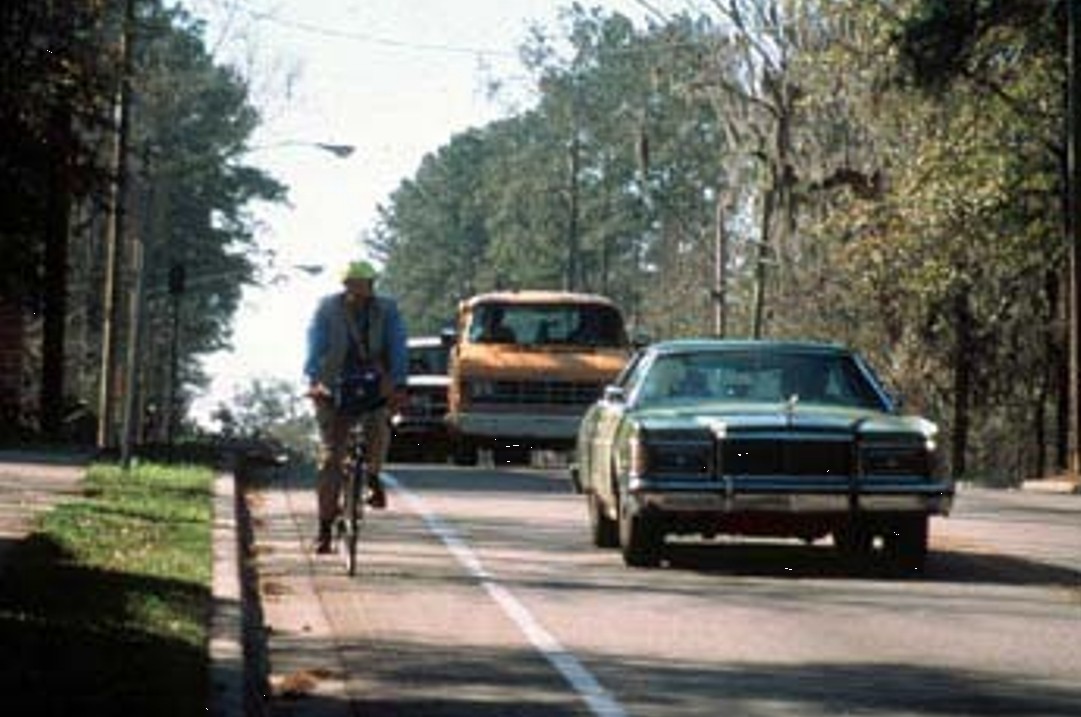 bike-lane-in-suburbs.jpg