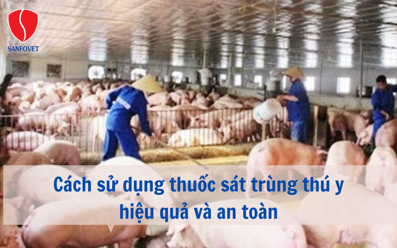 Cách sử dụng thuốc sát trùng thú y hiệu quả và an toàn