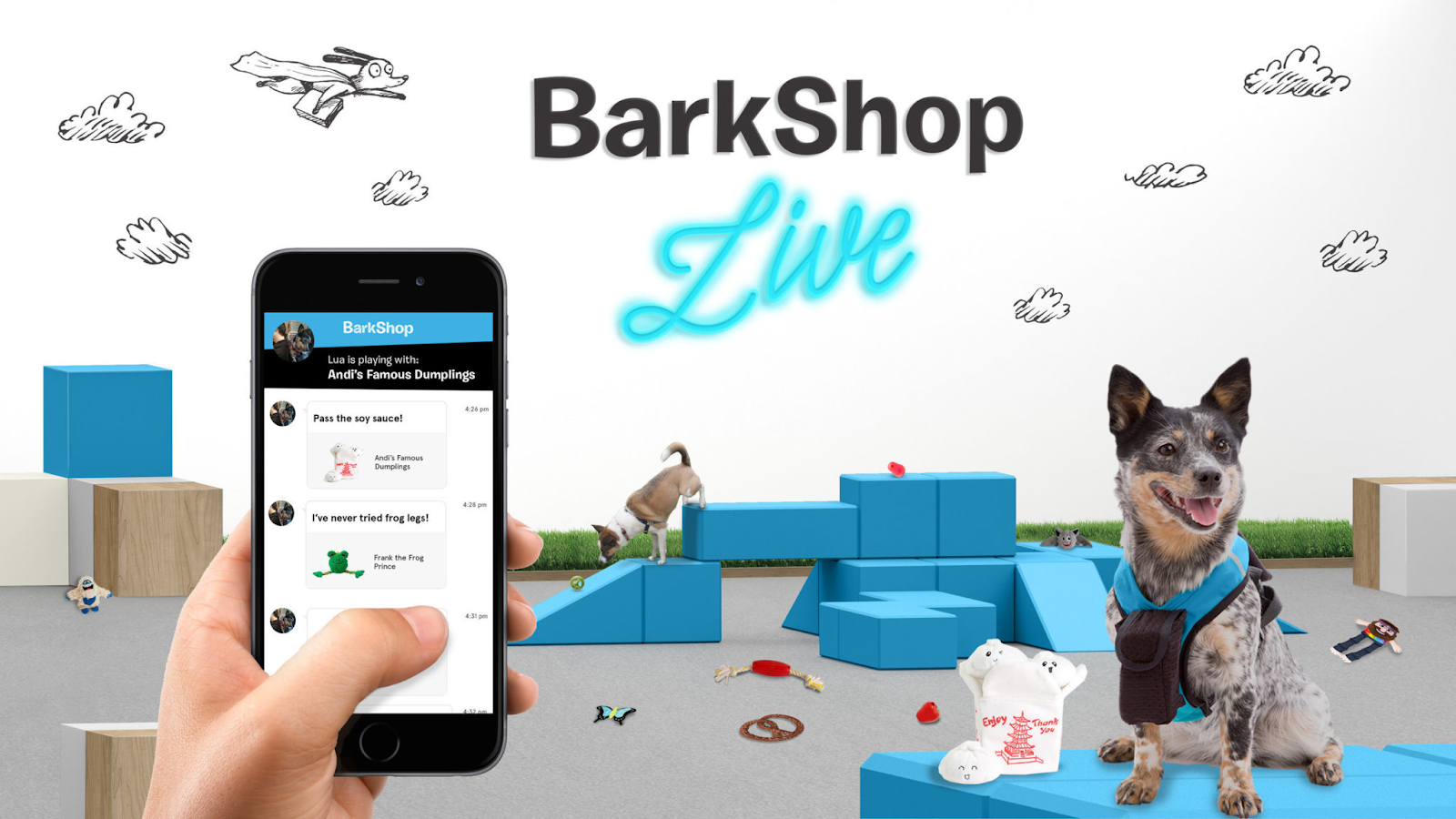 Omnichannel Marketing Example bark shop