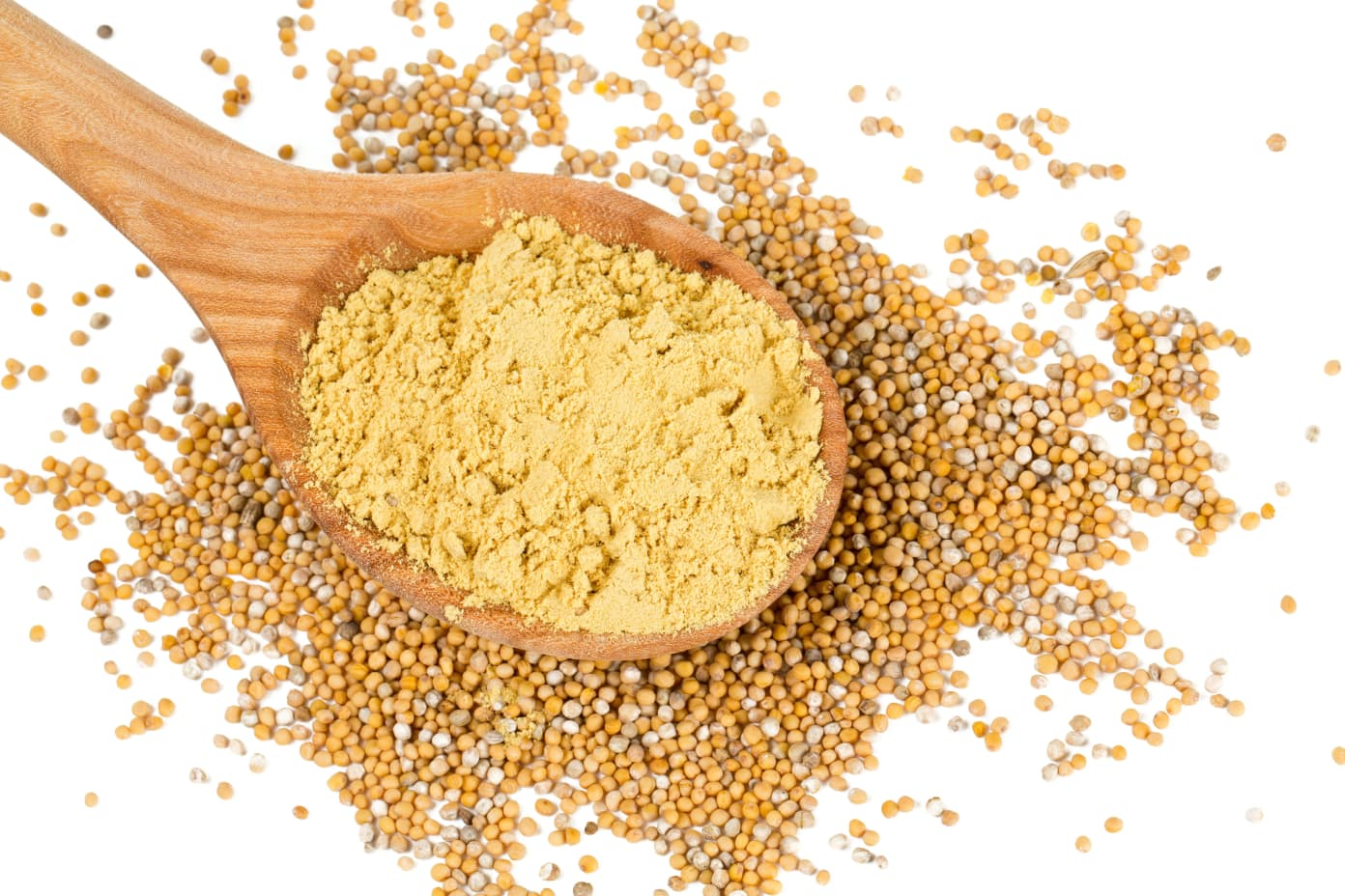 Yellow mustard seeds with a spatula 
 full of powdered yellow mustard seeds