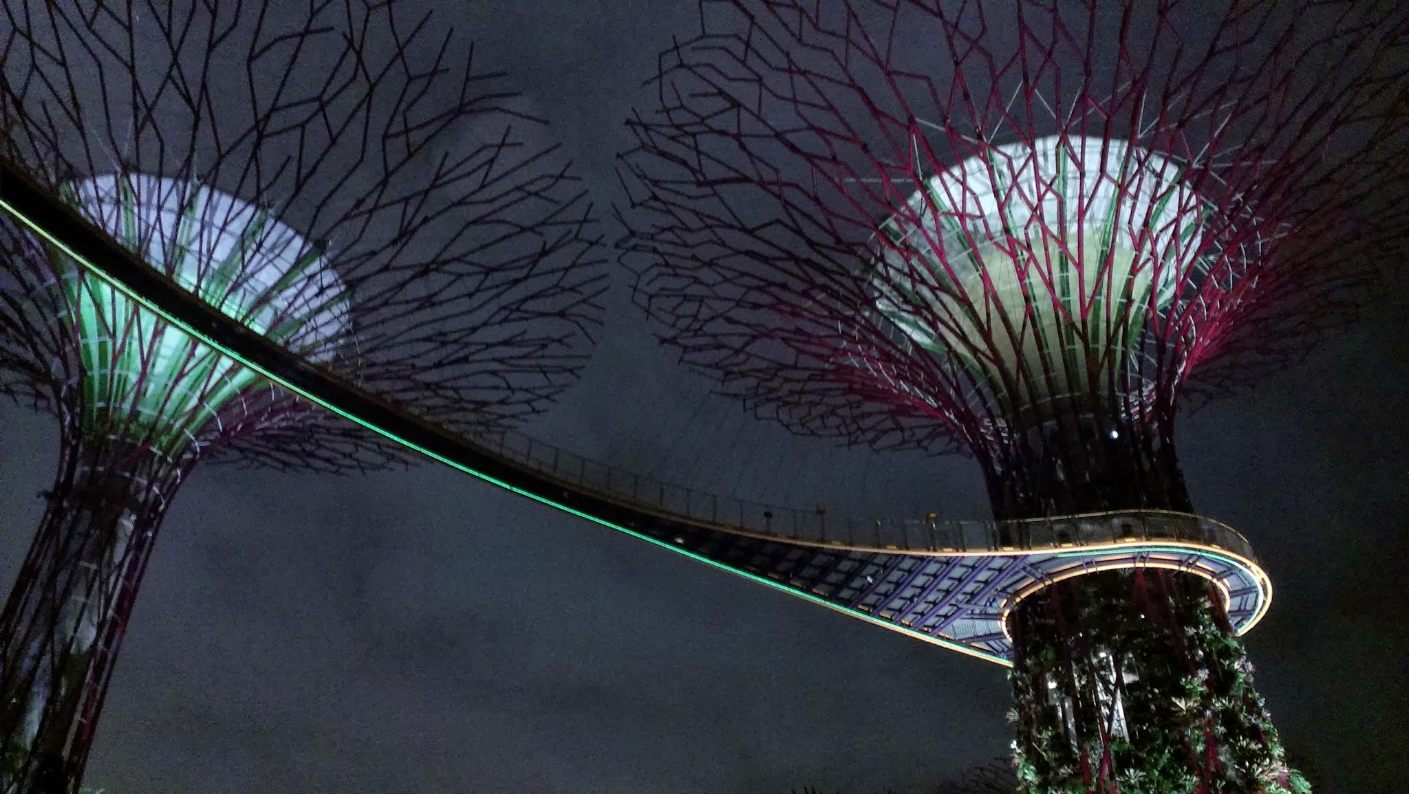 Hành trình Singapore bụi: Tung tăng  vịnh Marina và 2 khu vườn