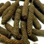 Longpepper