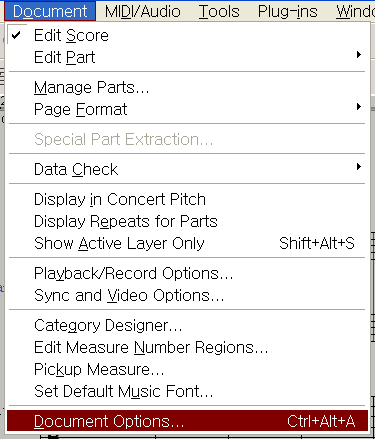 Menu - Document - Document Options.png