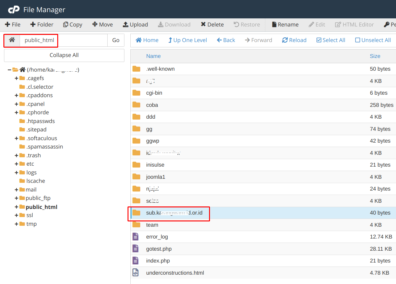 Cara Mudah Membuat Sub Domain di cPanel