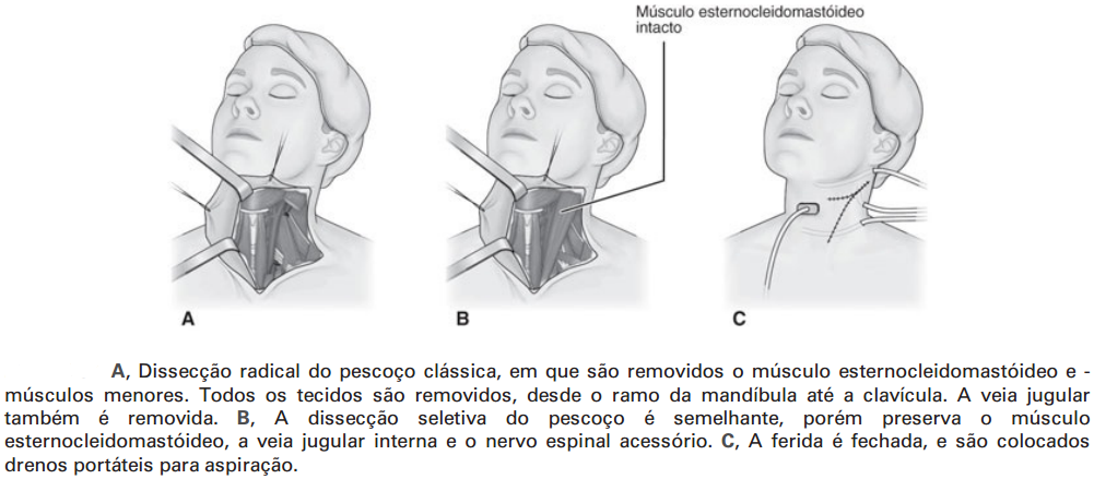 DiagramaDescrição gerada automaticamente