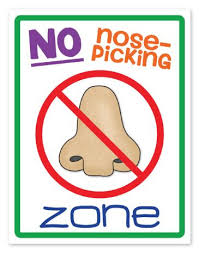 Image result for Dont pick nose clipart