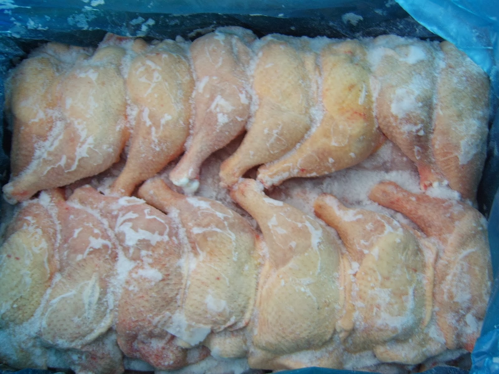 How-to-start-a-frozen-fish-and-chicken-business-in-Nigeria