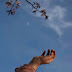 Heart in Hands