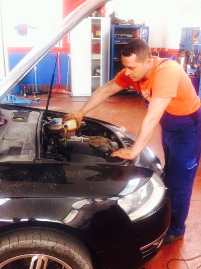 Photos of Servis Lenci
