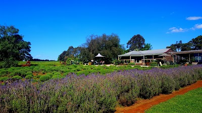 Photos of Warratina Lavender Farm