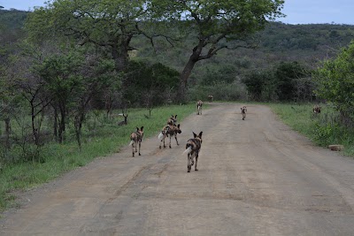 Photos of Ezemvelo KZN Wildlife, Mpila Resort