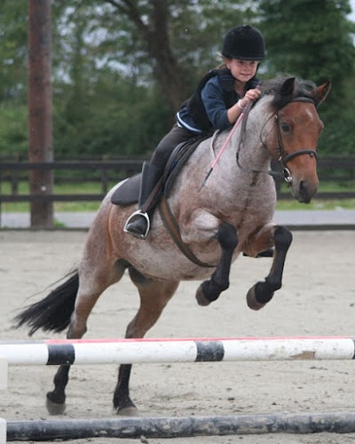 Photos of Annaharvey Equestrian Centre