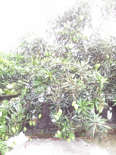 Photos of Bajitpur Bajaj