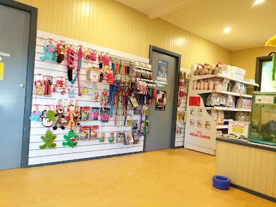 veterinary-care