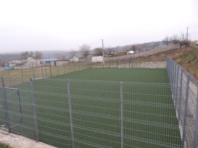 stadium