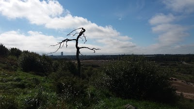Photos of Hansaterminaali
