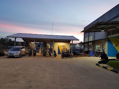 Photos of Rabbits Sewan Tangerang
