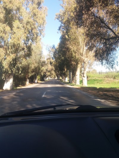 Photos of Sarl Benzaza Imp/exp