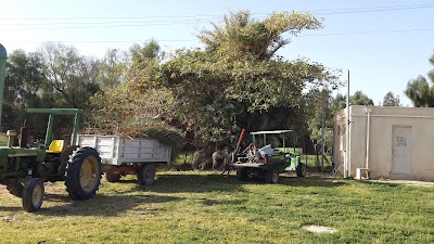 Photos of גרופית פלסטיק