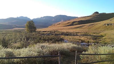 Photos of Cobham campsite