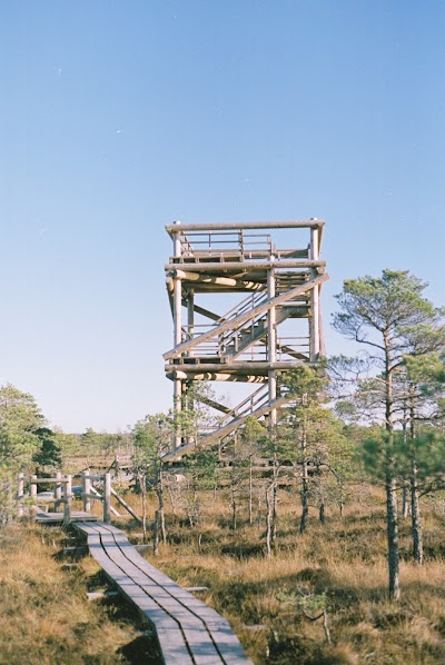 Photos of Kemeri Swamps