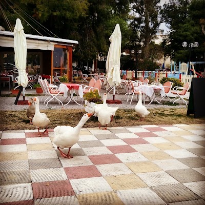 Photos of &Kappa;&Omicron;&Nu;&Alpha;&Kappa;&Iota;