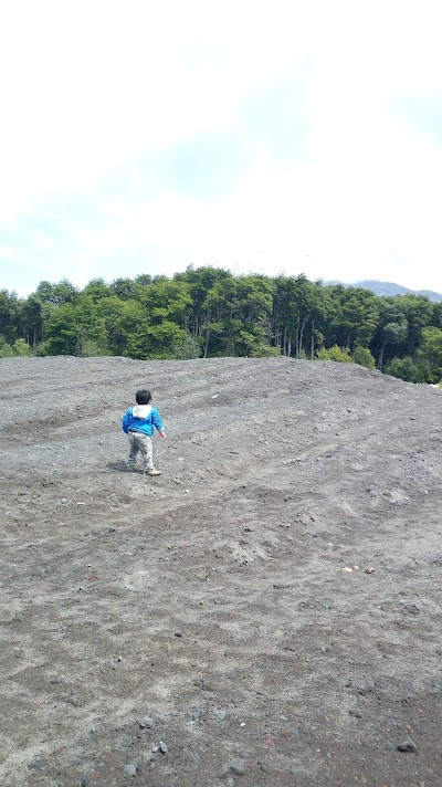 Photos of Camping Playa Petrohue (CONAF)