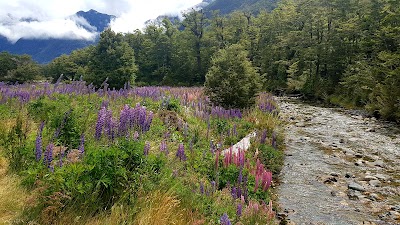 Photos of Cascade Creek Road