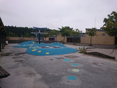 school