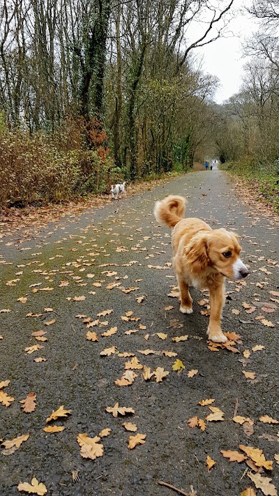 Photos of Knockma Hill, Galway