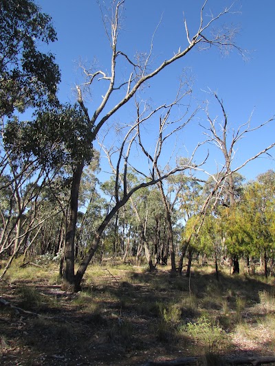 Photos of Paddys Ranges State Park