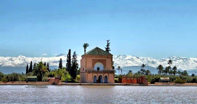 Photos of Day Trip Marrakech