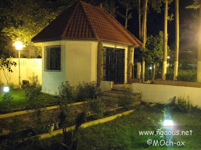 Photos of N'Gaous Garden