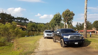 Photos of Xejuyu