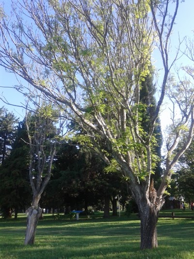 Photos of Parque Evang&eacute;lico Los Para&iacute;sos