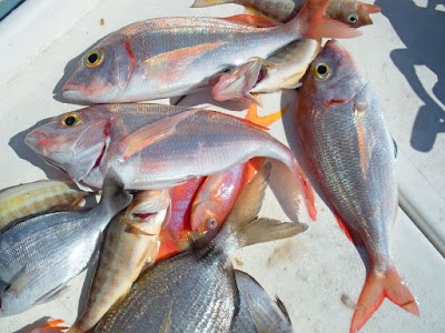 Photos of Tripiti port
