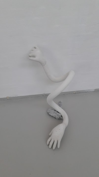 Photos of The House for Art and Design