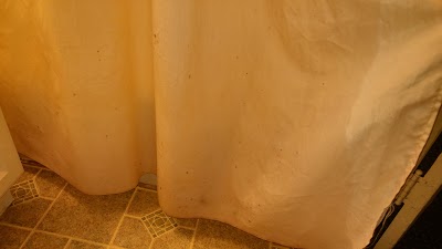 Photos of Palace Inn Motel
