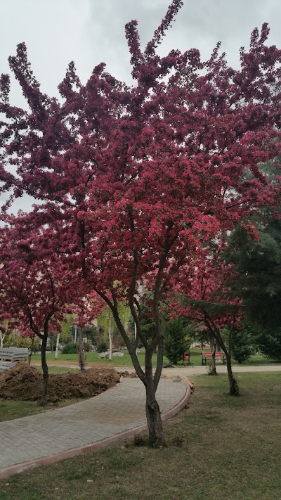 park