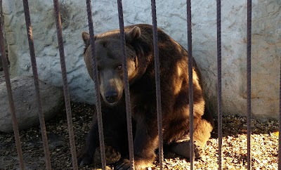 zoo