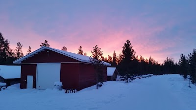 Photos of Guesthouse Husky