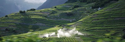 Photos of La Cave A Polyte SA - Jacques Disner - Vigneron-Encaveur