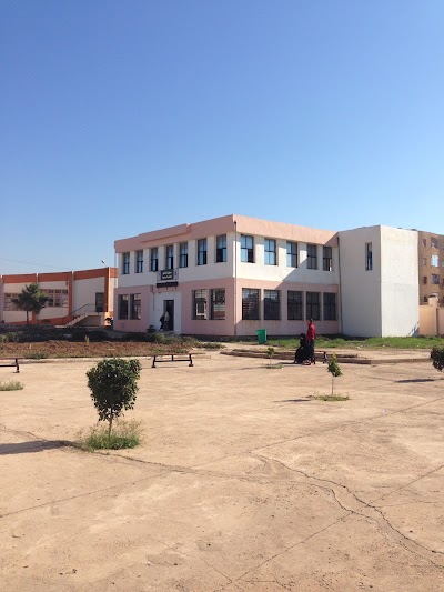 university