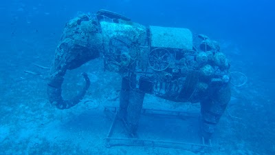 Photos of Freedive Dahab