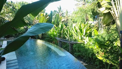 Photos of Luwak Ubud Villas