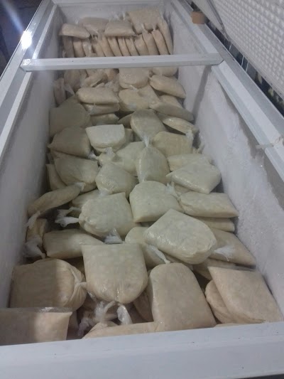 Photos of Frozen Fruits