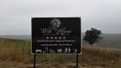 Photos of Wild Horses Lodge