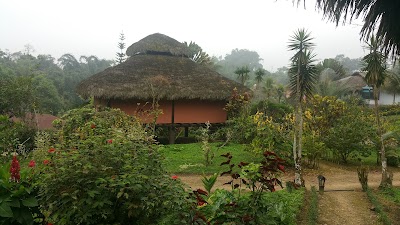Photos of Arasha Resort